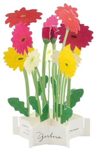 3D-onnittelukortti Greeting Life - Gerbera 2