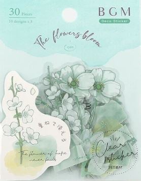 Tarrapussi BGM - The Flowers Bloom - Mint